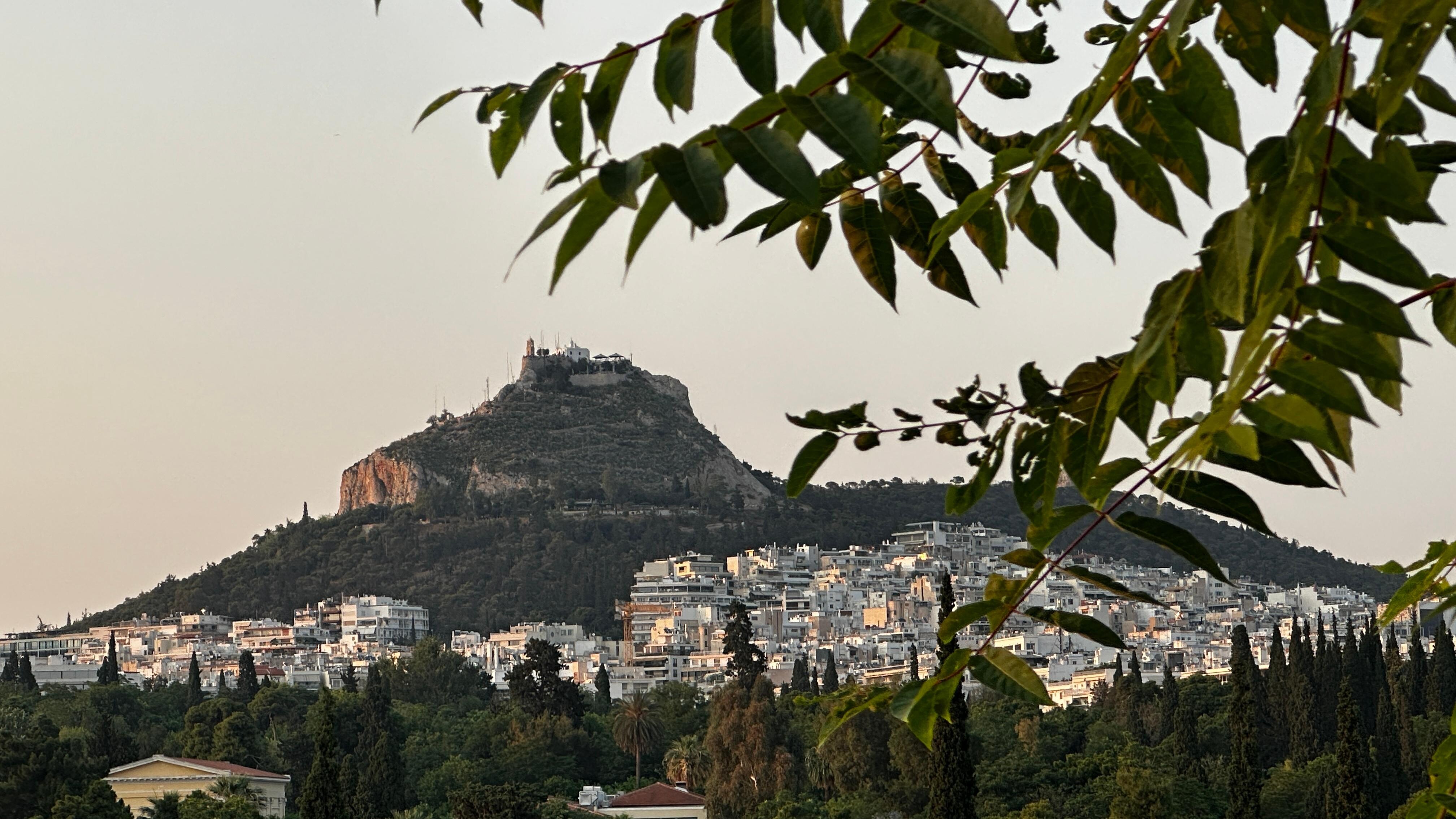 View from terrace