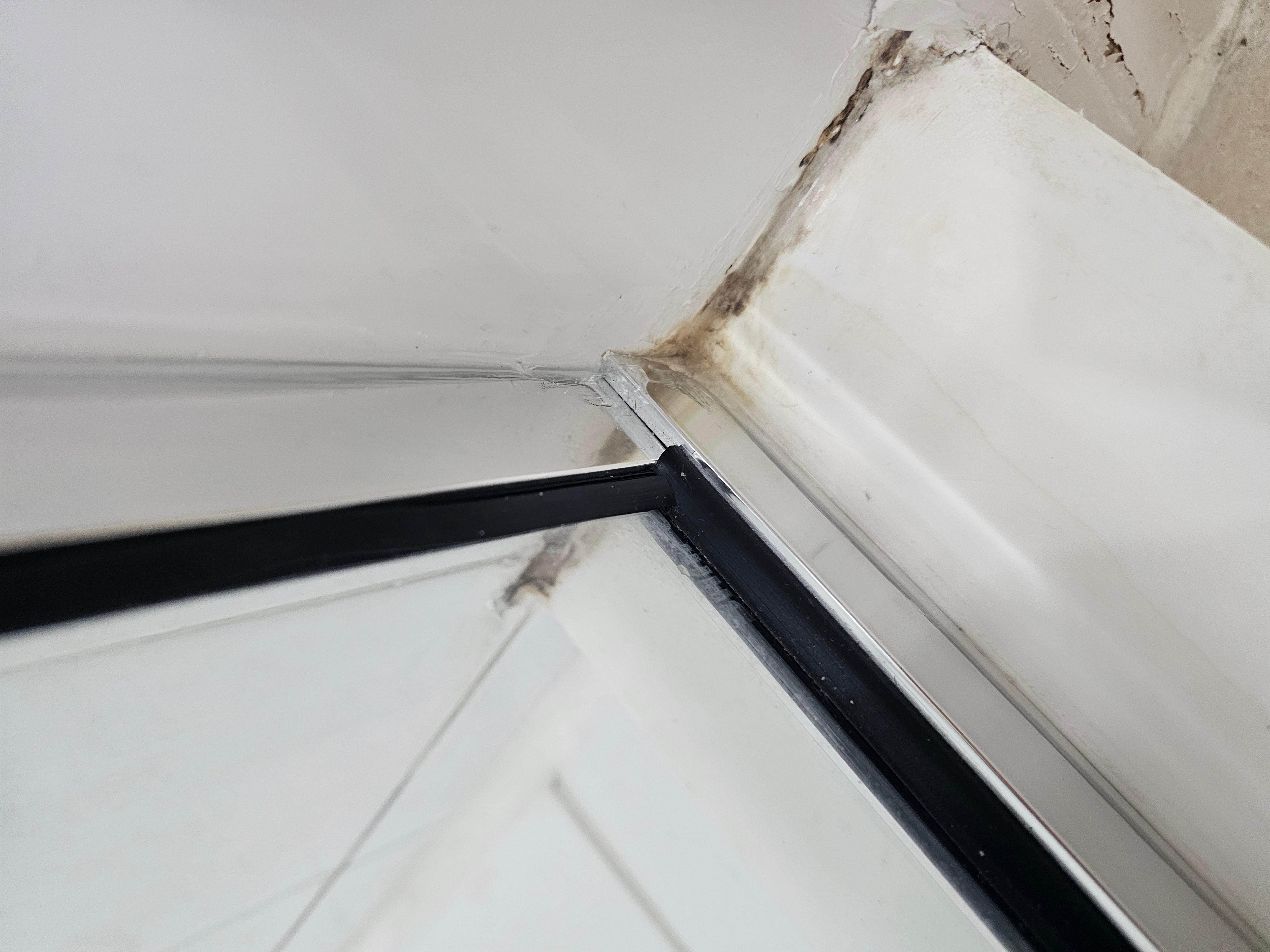 Mold in master shower