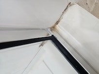 Mold in master shower