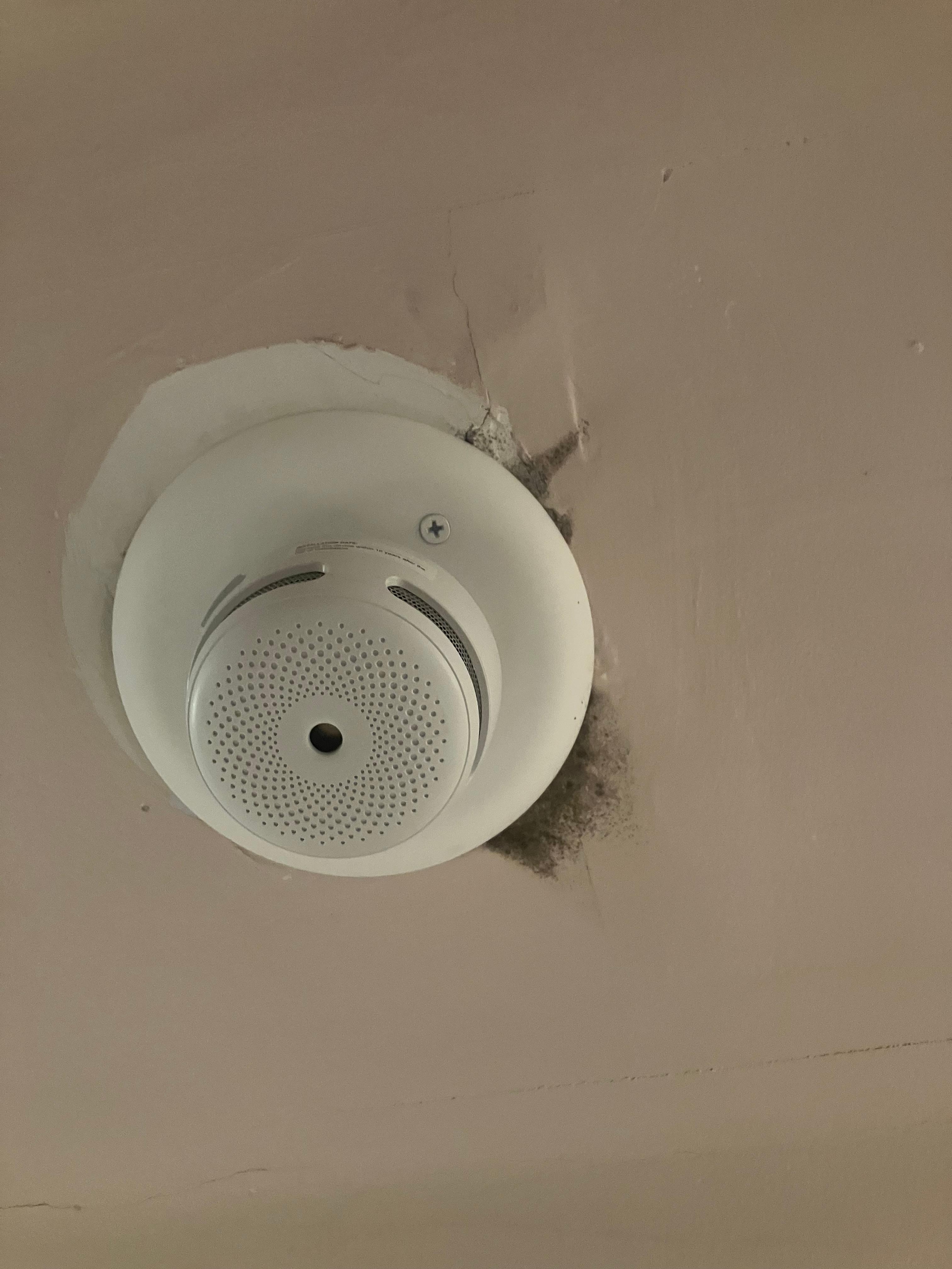 Possible black mold coming from detector