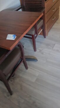 Chewed furniture