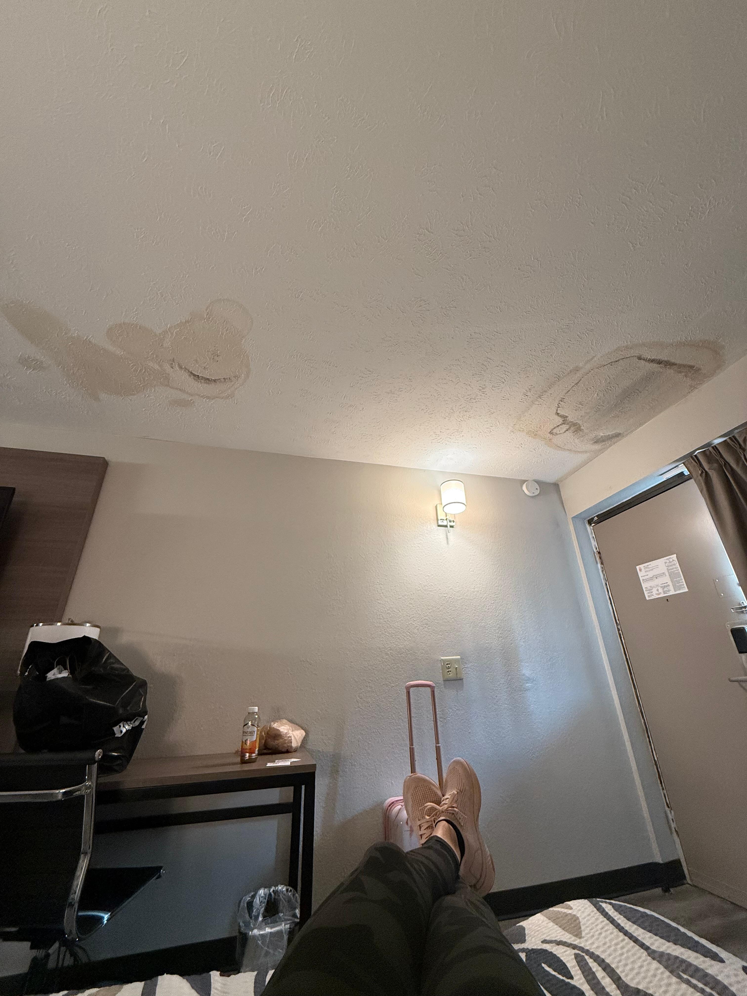 Mold/stains on the ceiling