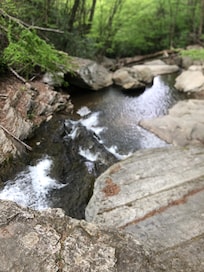 The creek beside of the house! Granddaughter loved this!