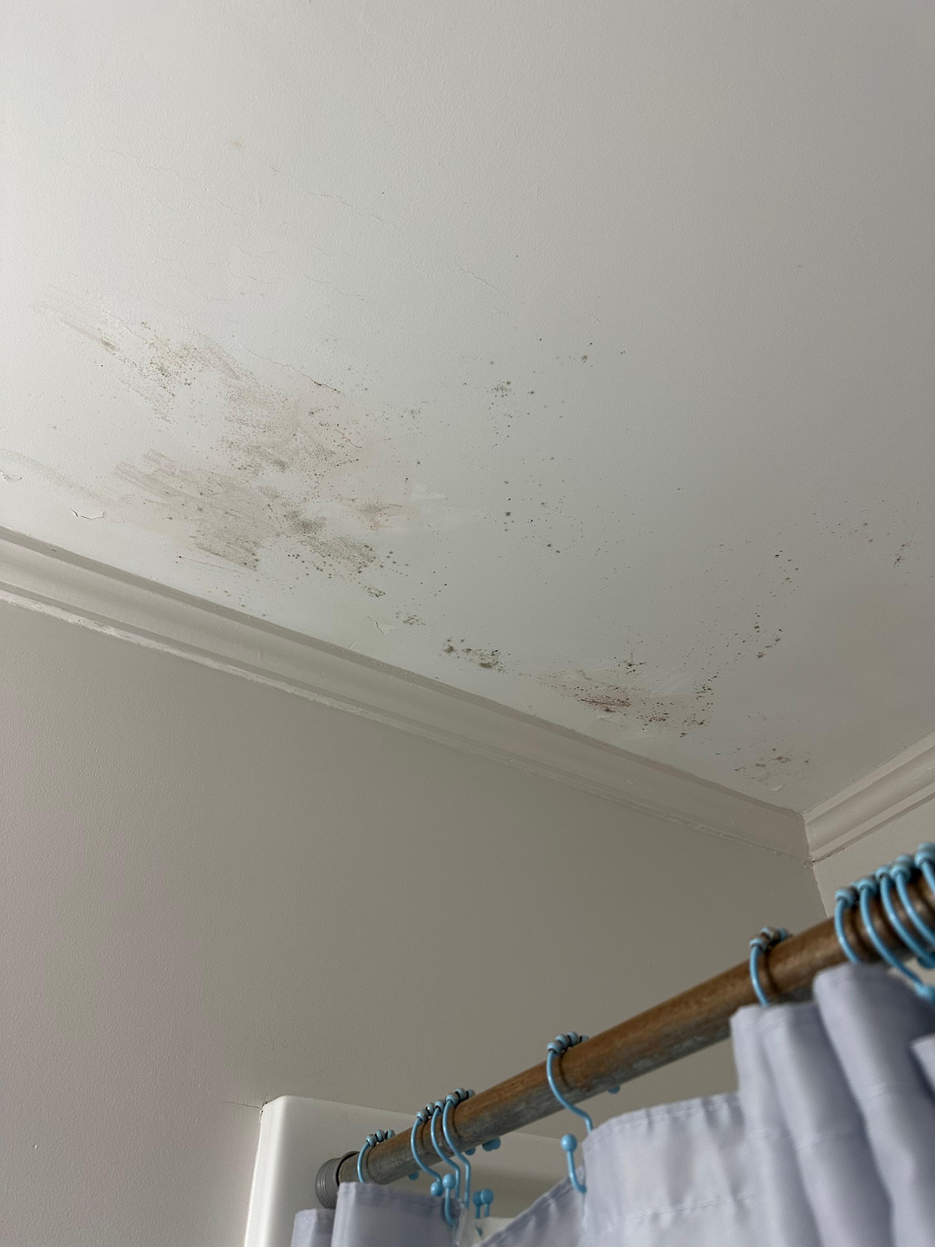 Mold on bathroom ceiling 