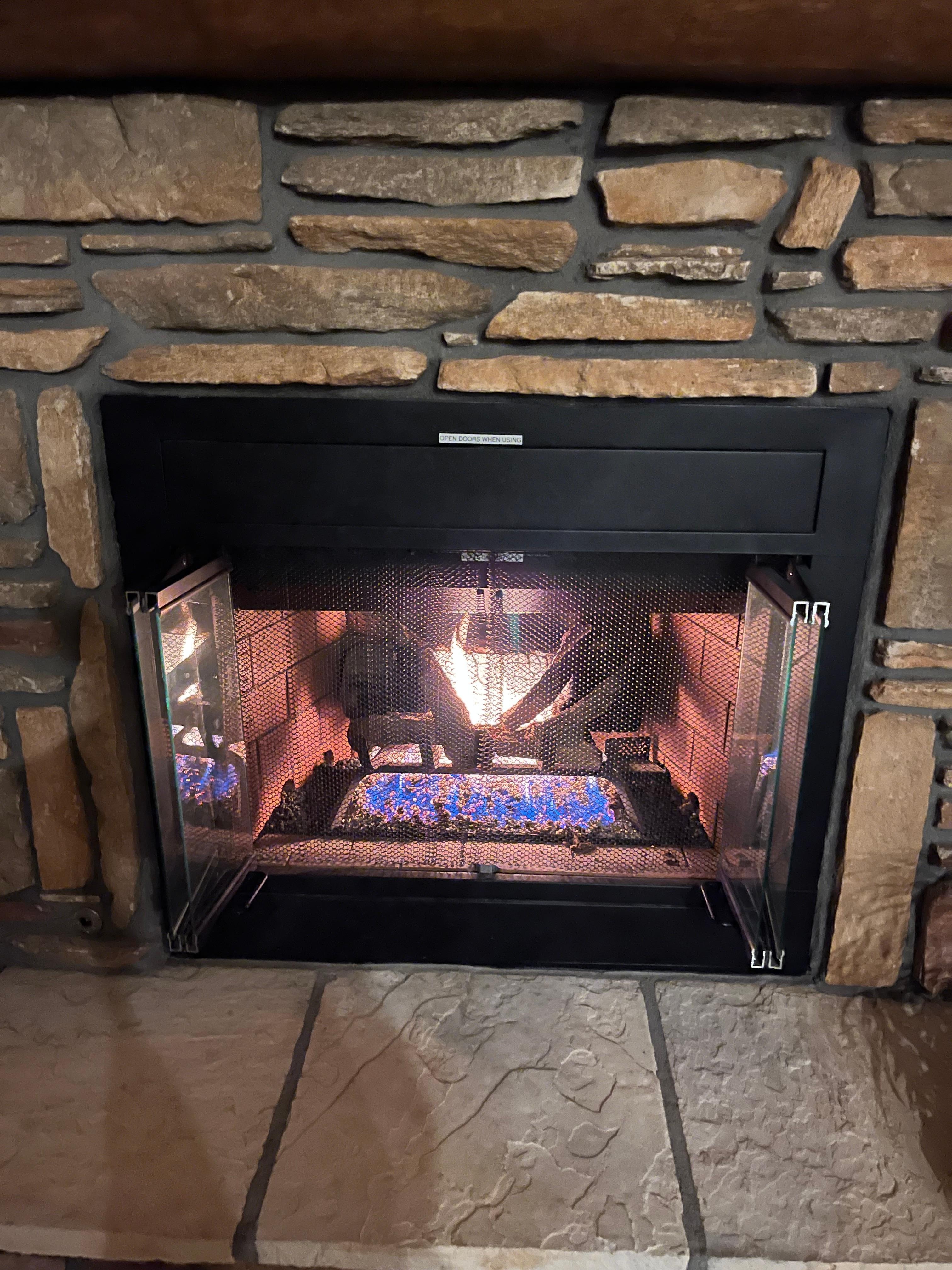 Fireplace in the living room