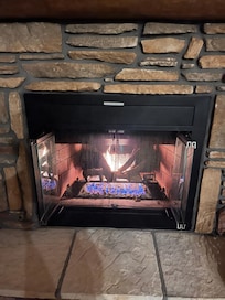 Fireplace in the living room