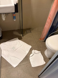 The little floor mat - had to use a regular towel instead.