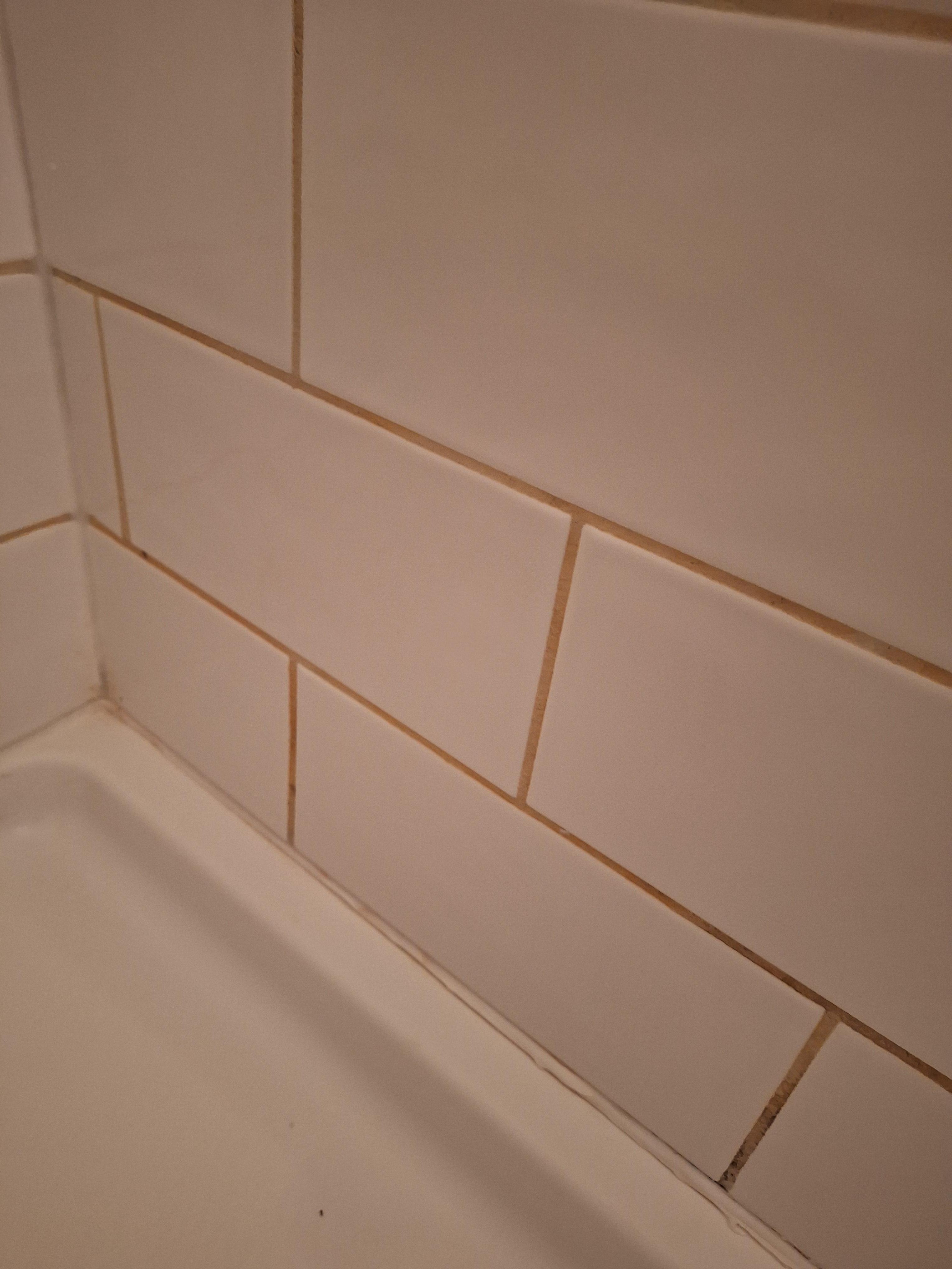 Pink Mildew stained grout