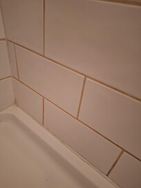 Pink Mildew stained grout