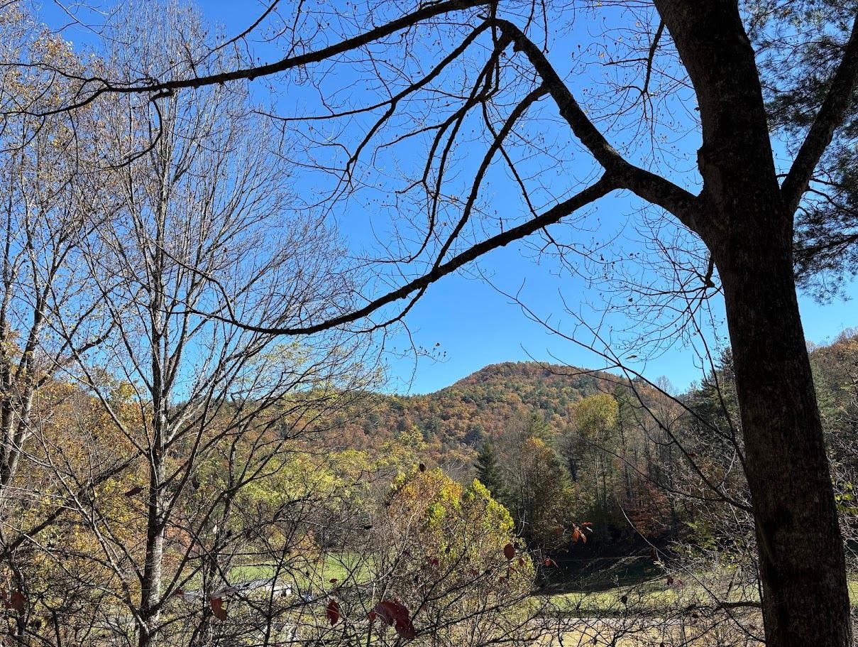 View out of front window.