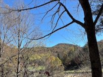 View out of front window.