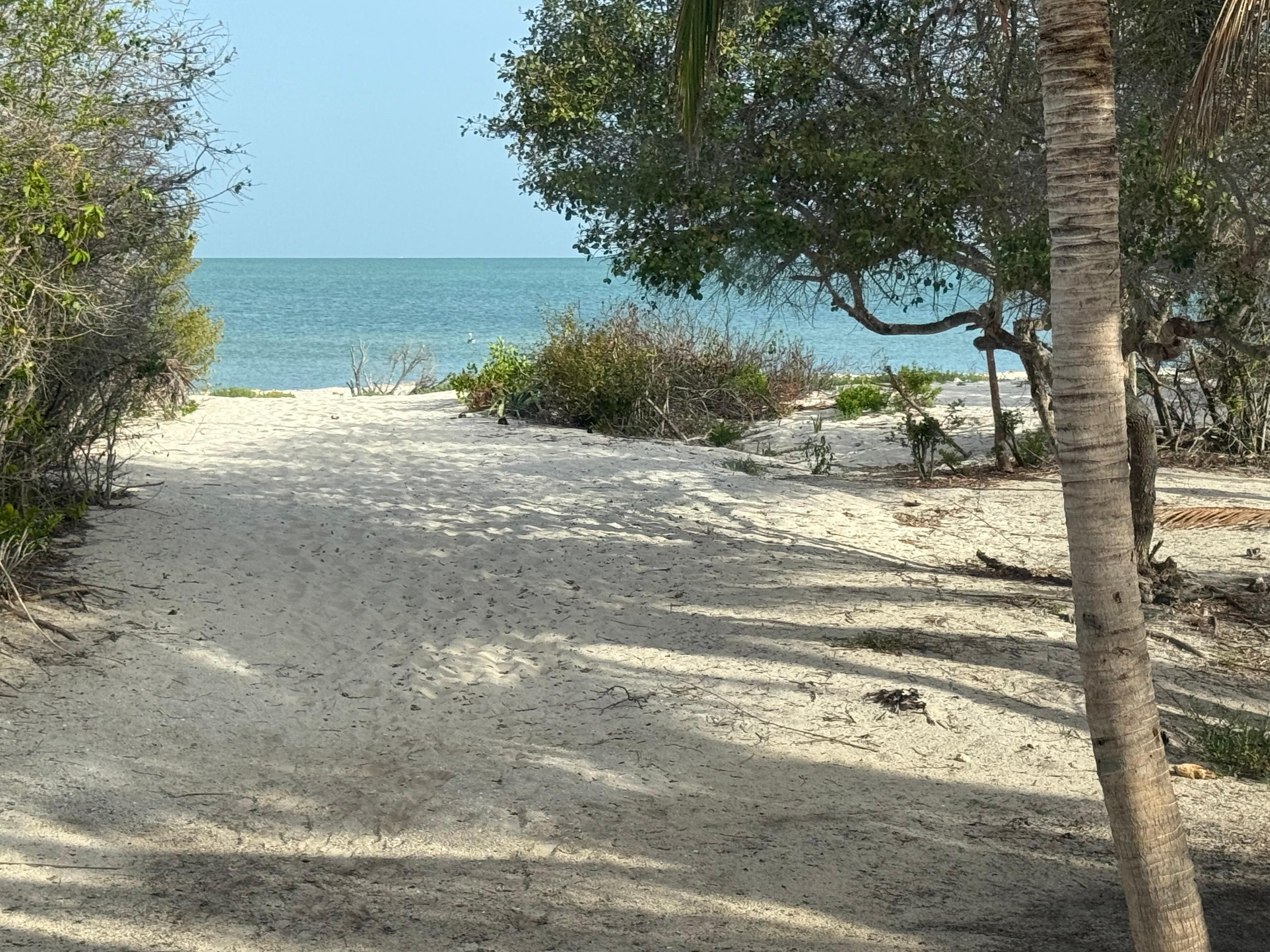 View from the steps to the beach.