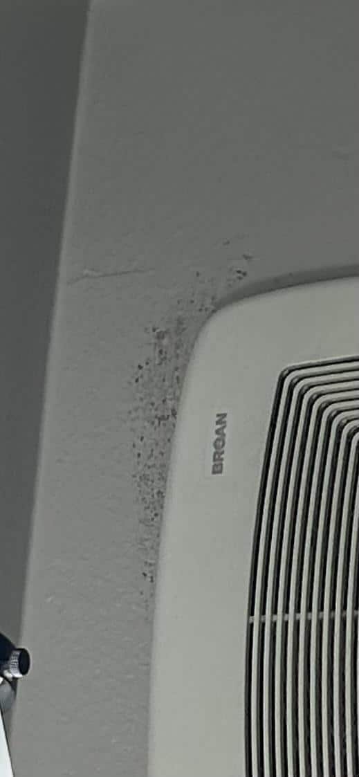Moldy bathroom vent