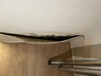 base board falling off wall from water damage and very apparent black mold behind base board