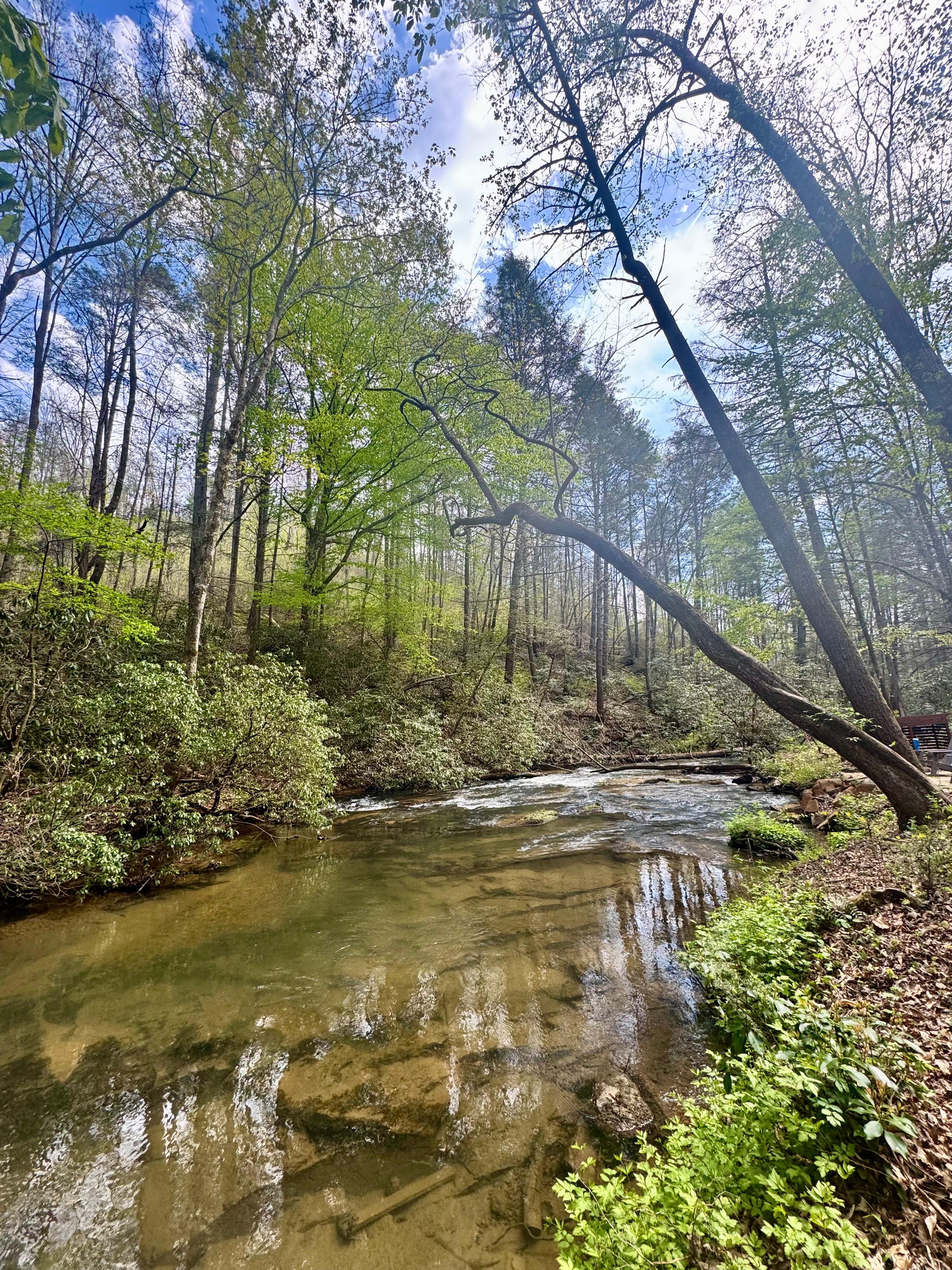 Gorgeous spot on the creek! 