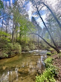 Gorgeous spot on the creek!