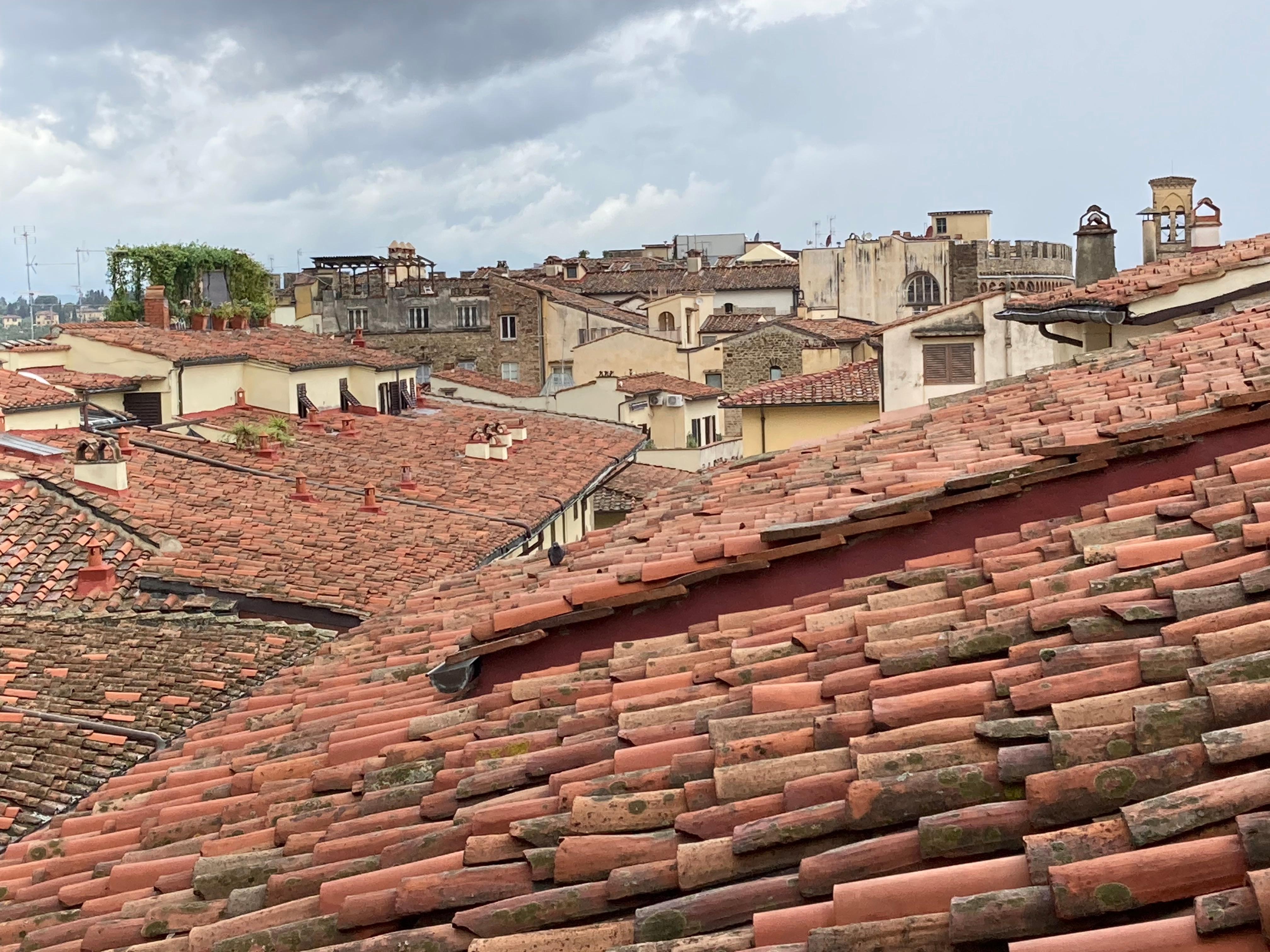 View of the classical roofs from the tower.