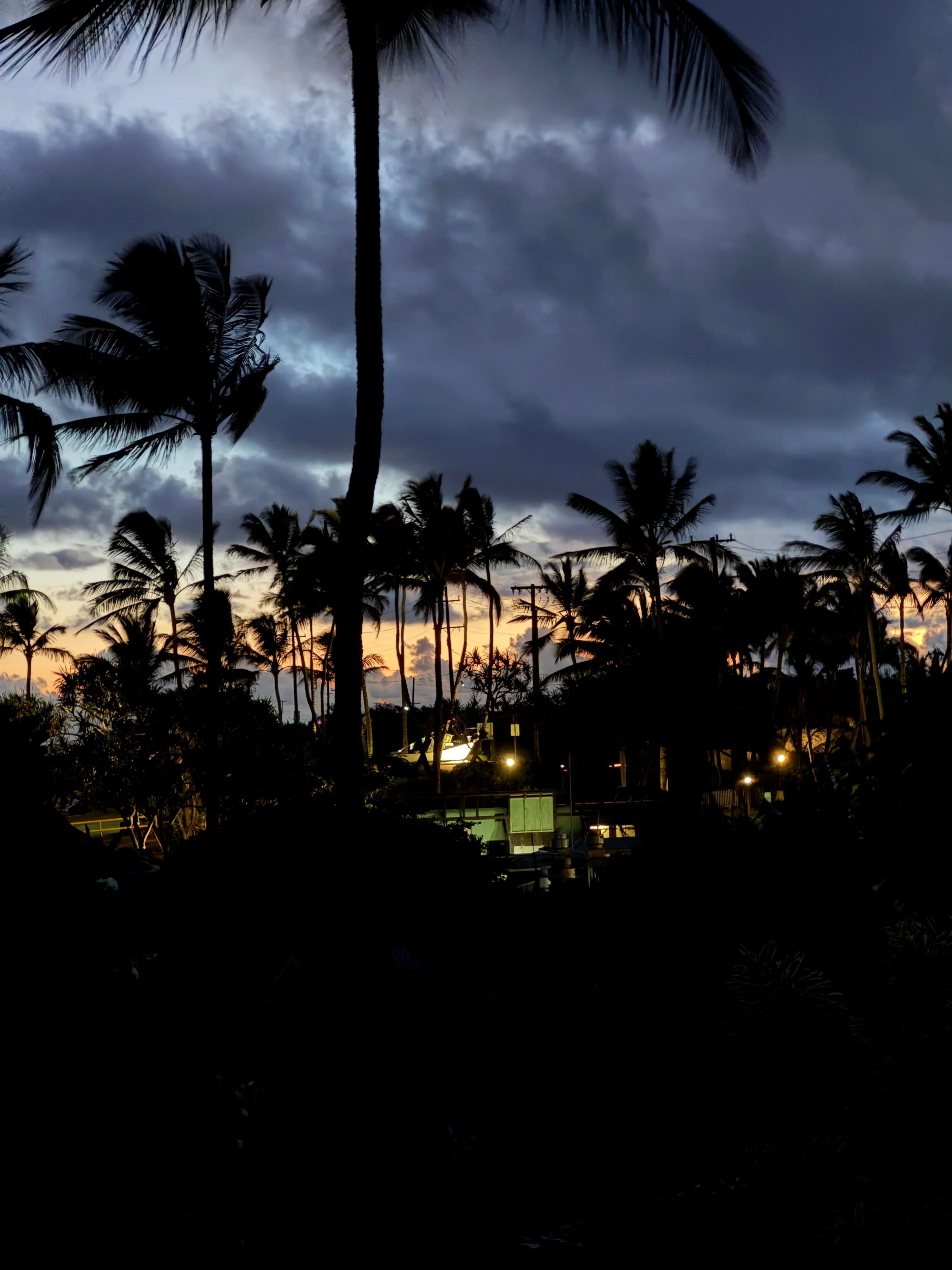 Kitchen lanai morning view 