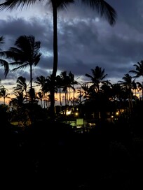 Kitchen lanai morning view