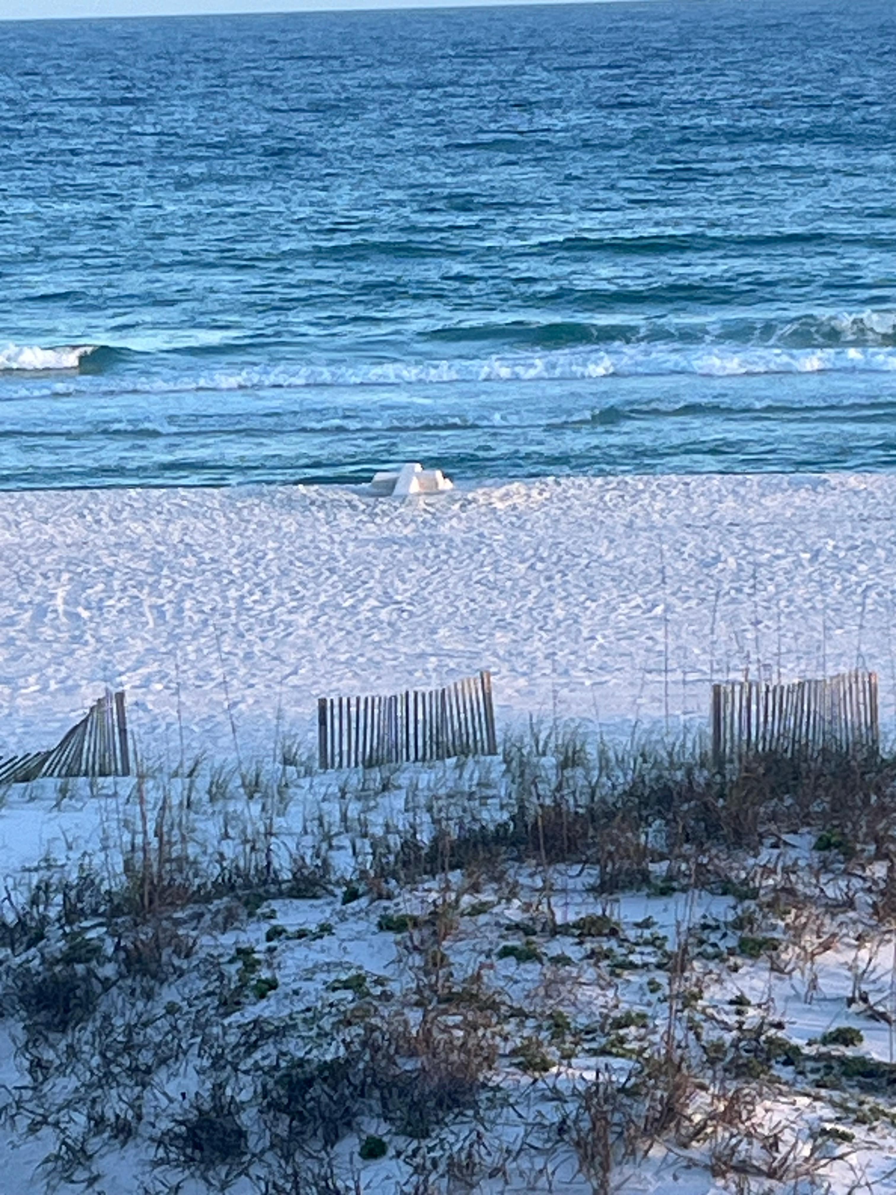 View from the pool bar/lounge area!