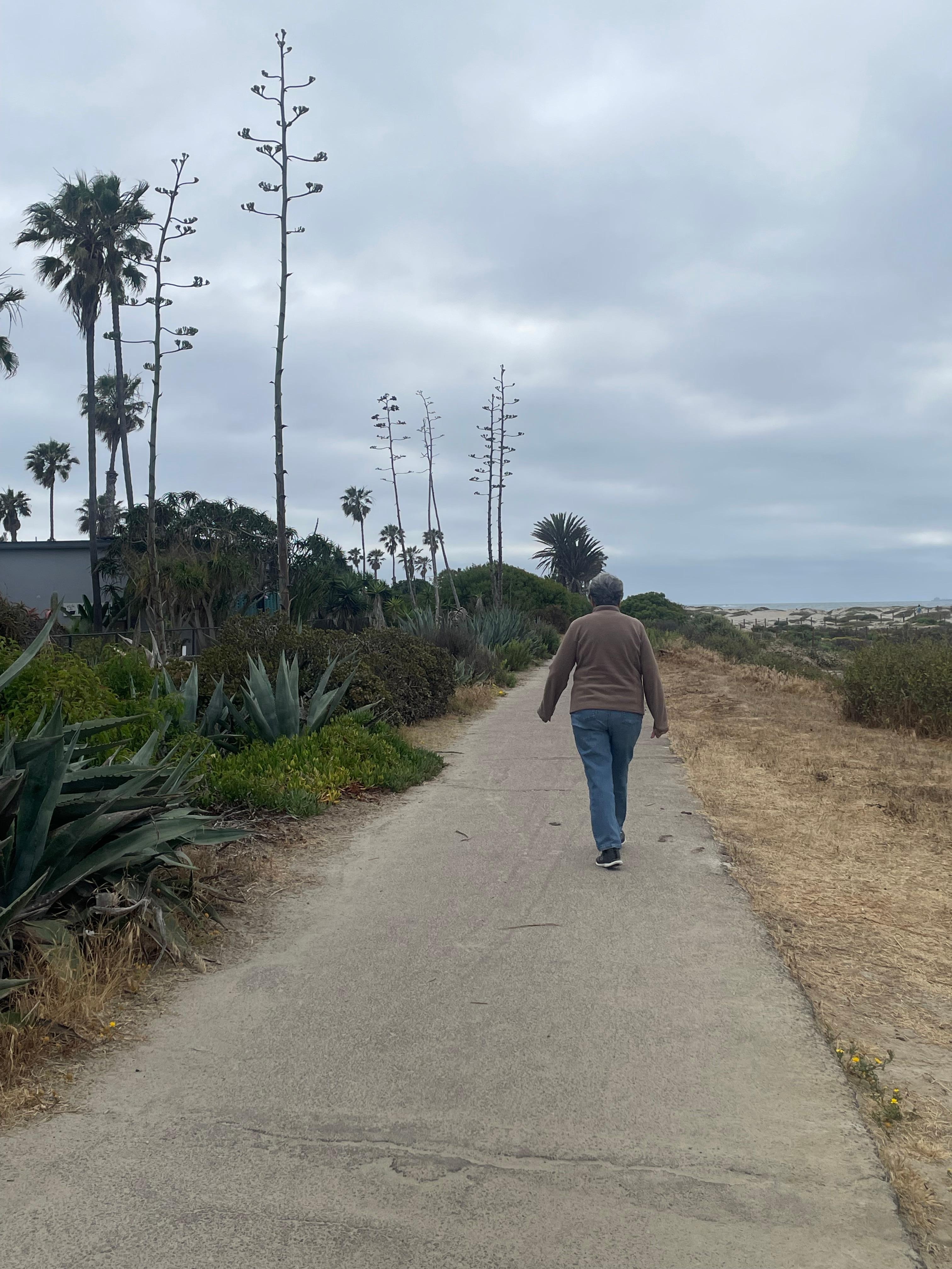Cloudy day and fresh air 