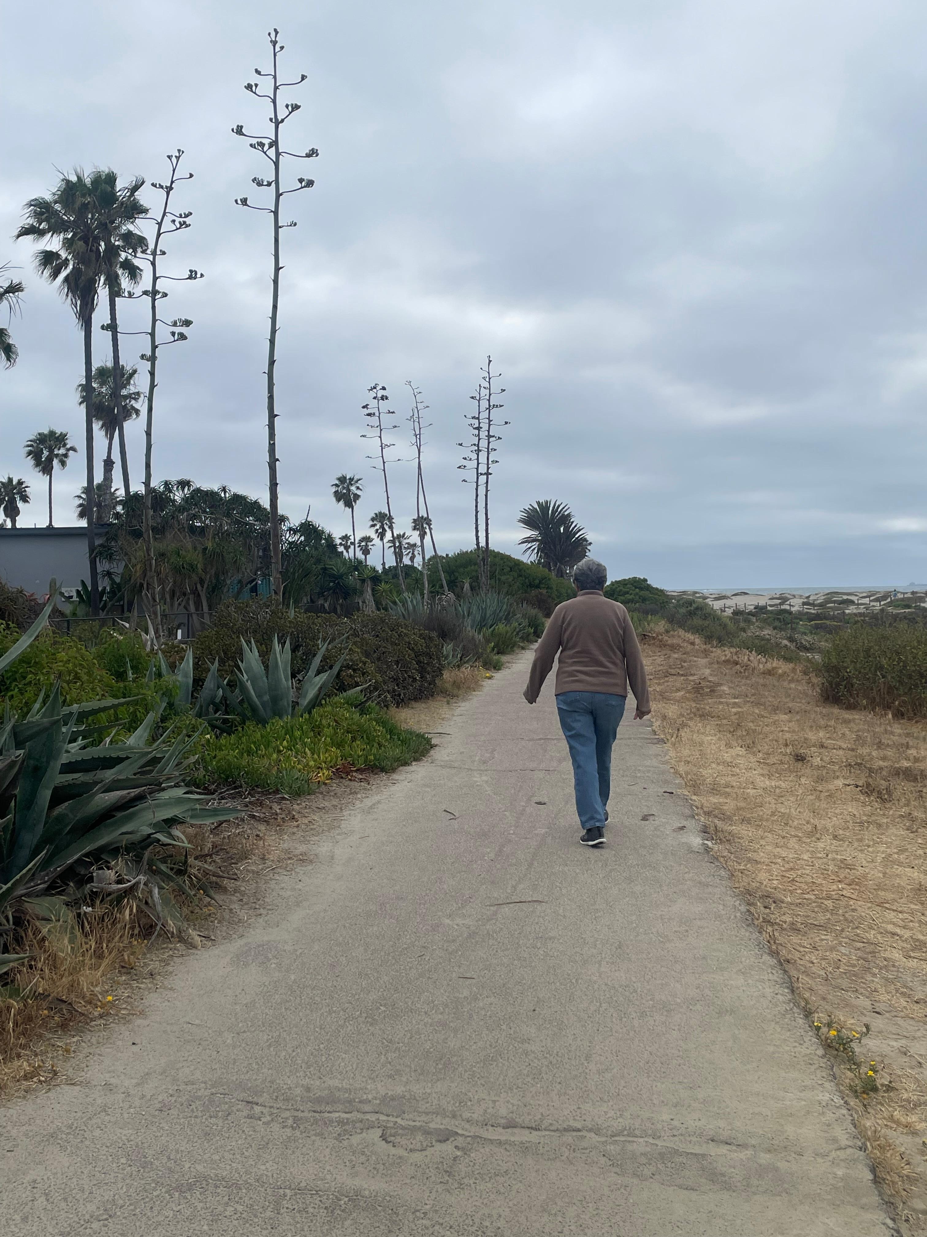 Cloudy day and fresh air 