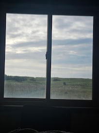 View from one of the bedrooms