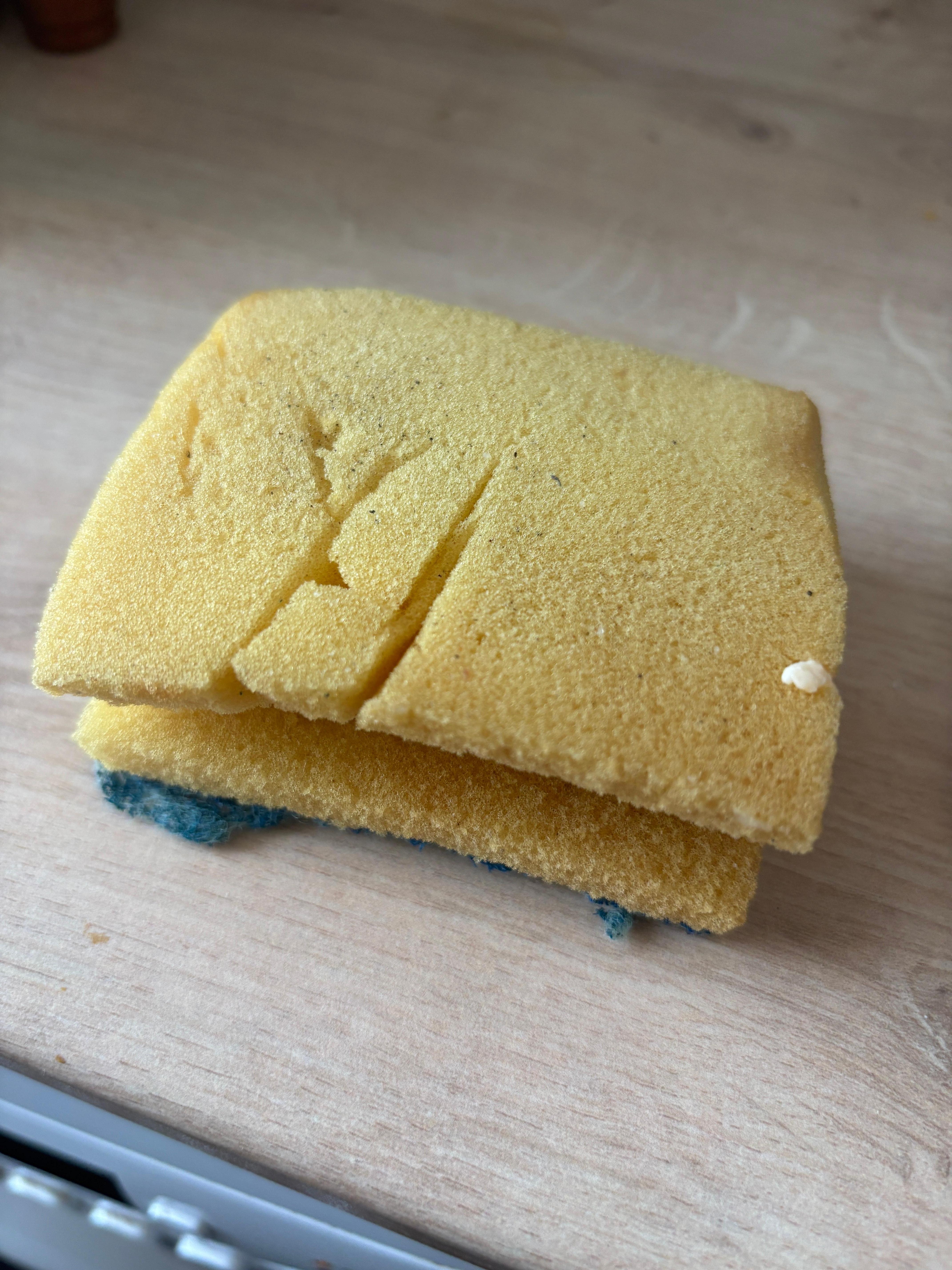 Sponge 