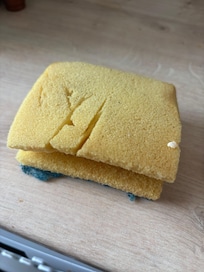 Sponge