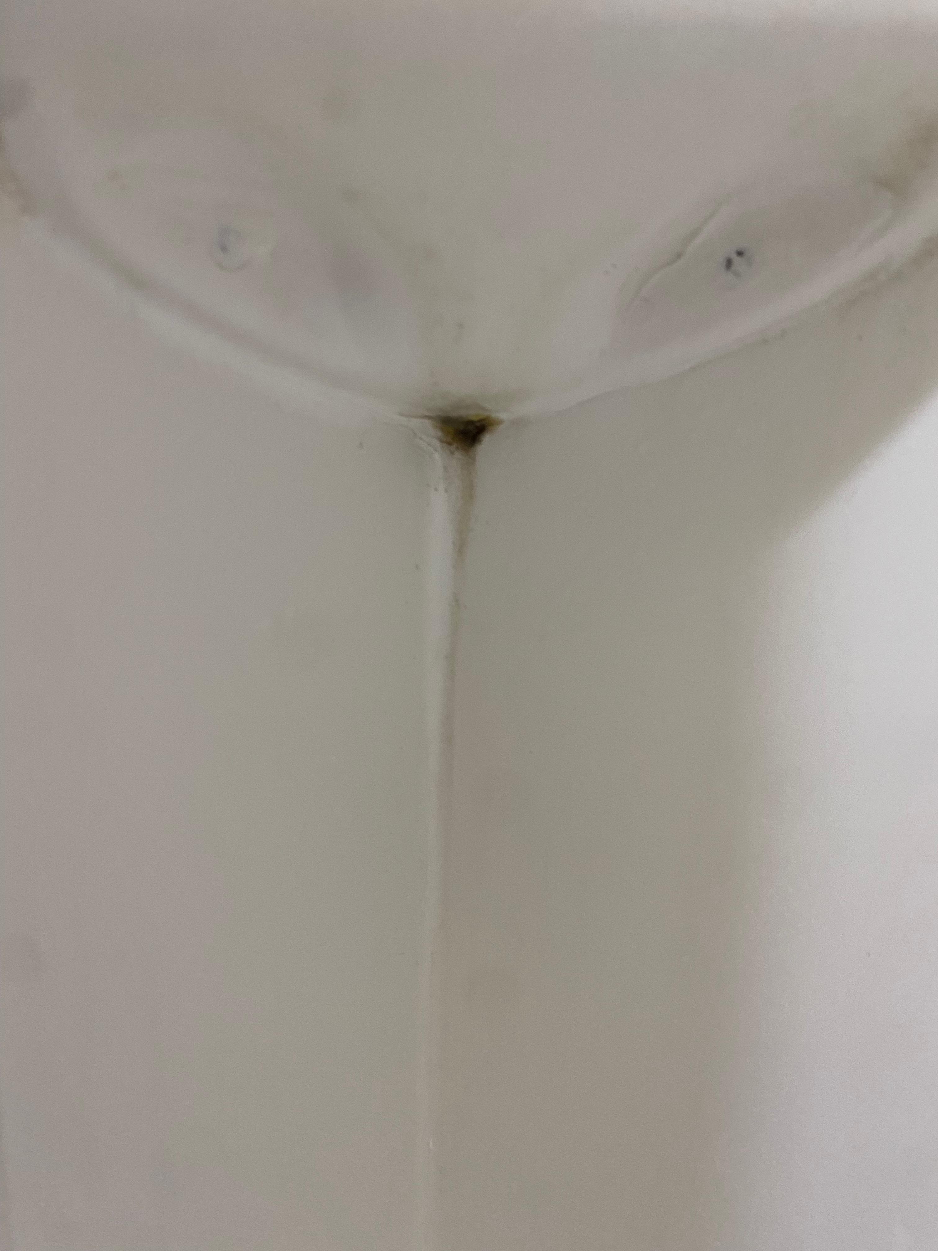 Mold under soap holder