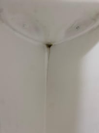 Mold under soap holder