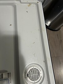 Hair in dishwasher