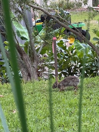 Pretty and comfortable bedrooms