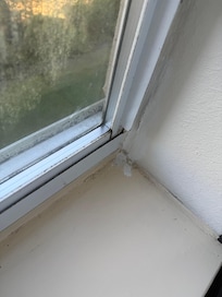 Window seals were nasty