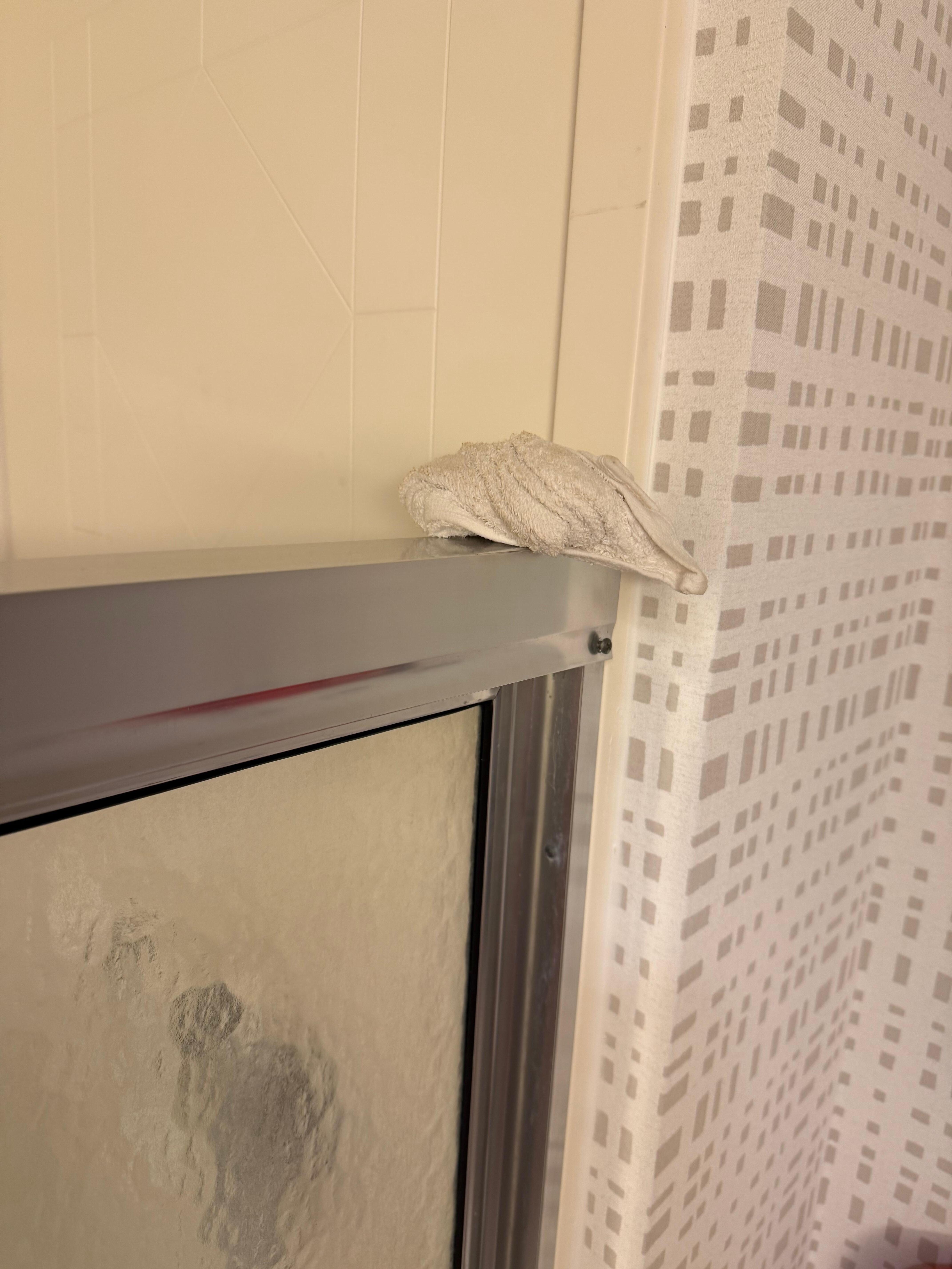 Dirty washcloth left in shower