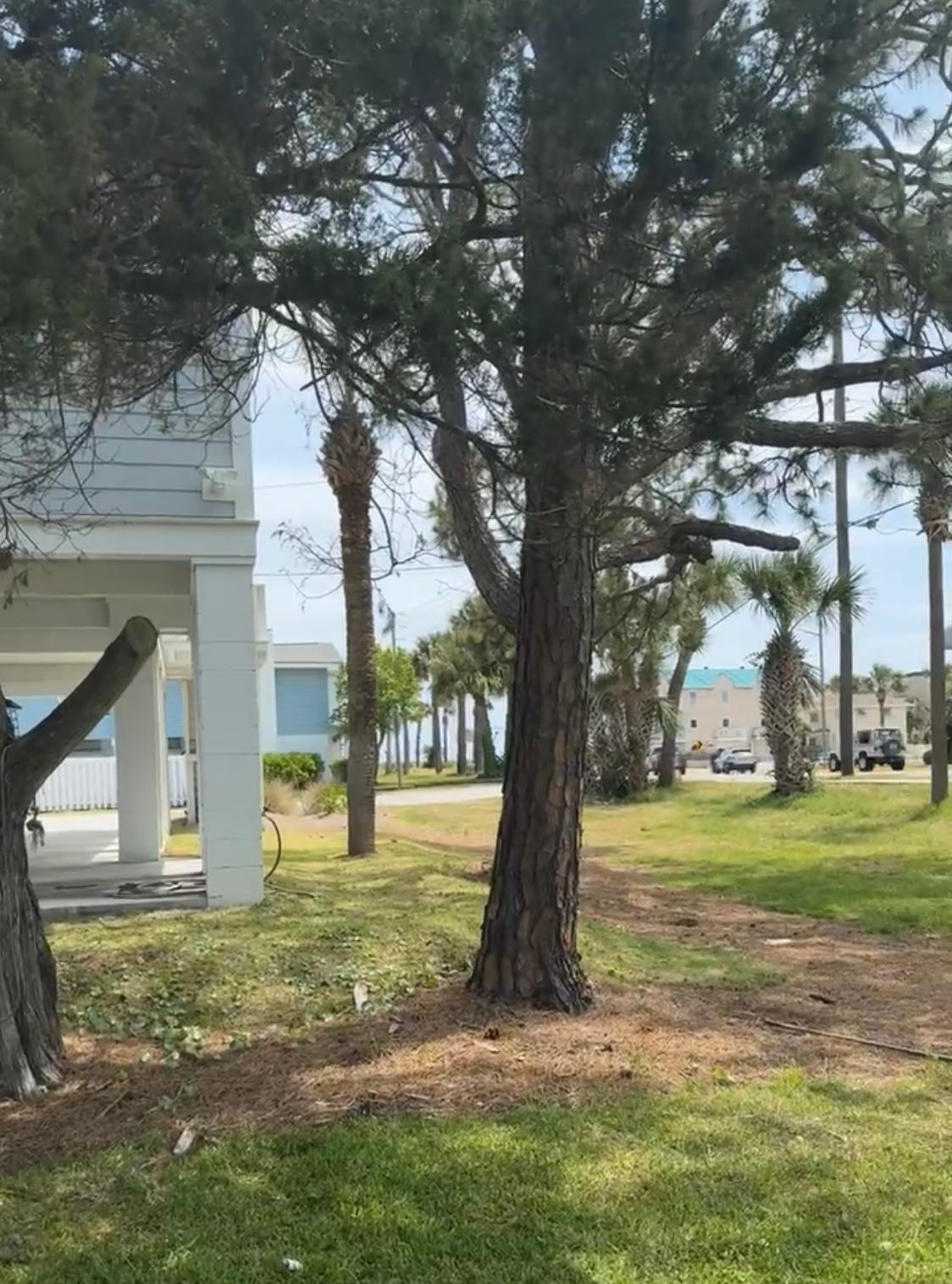One of the two beach access points steps away