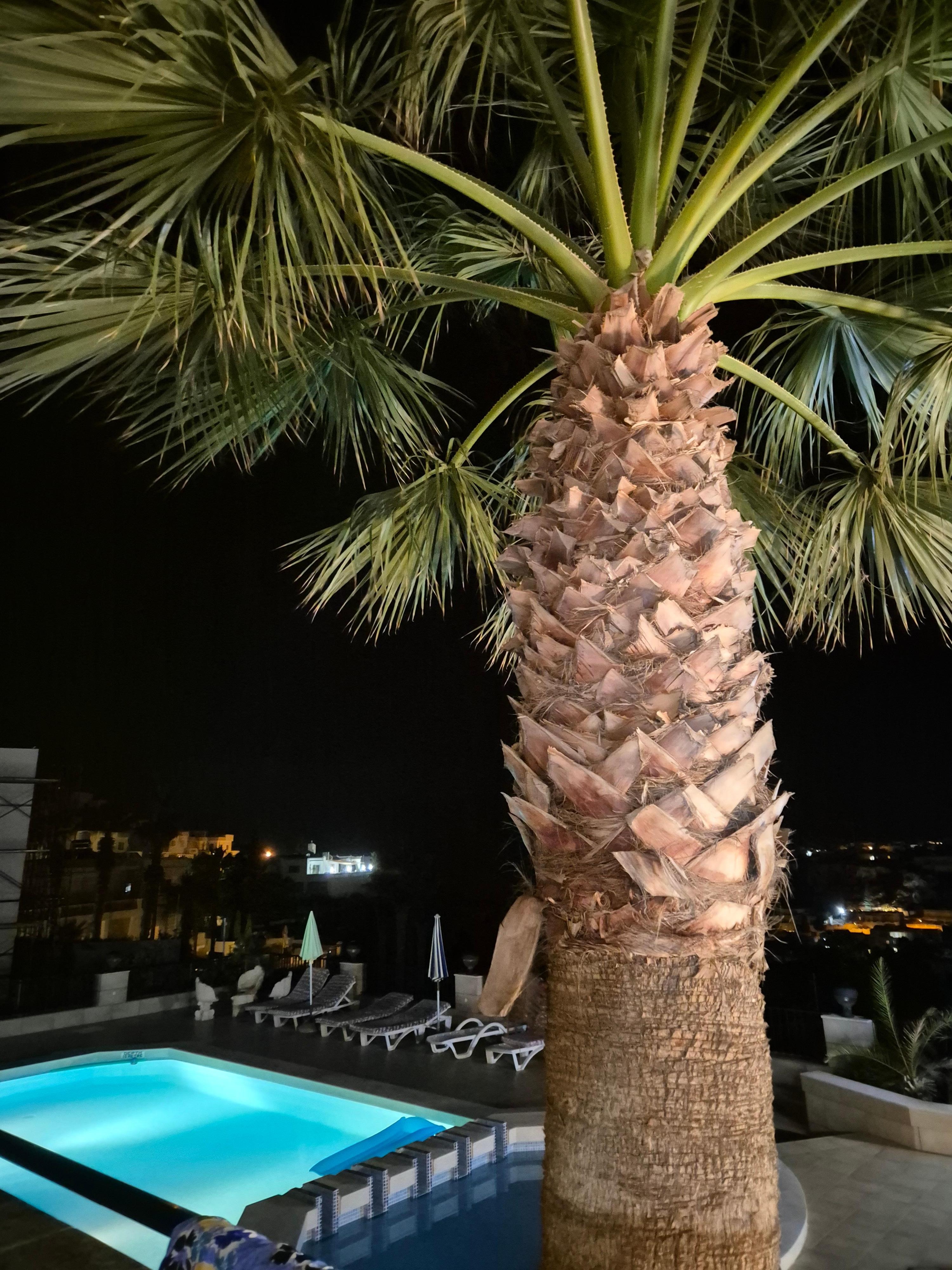 Just outside the patio door. 