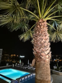 Just outside the patio door.