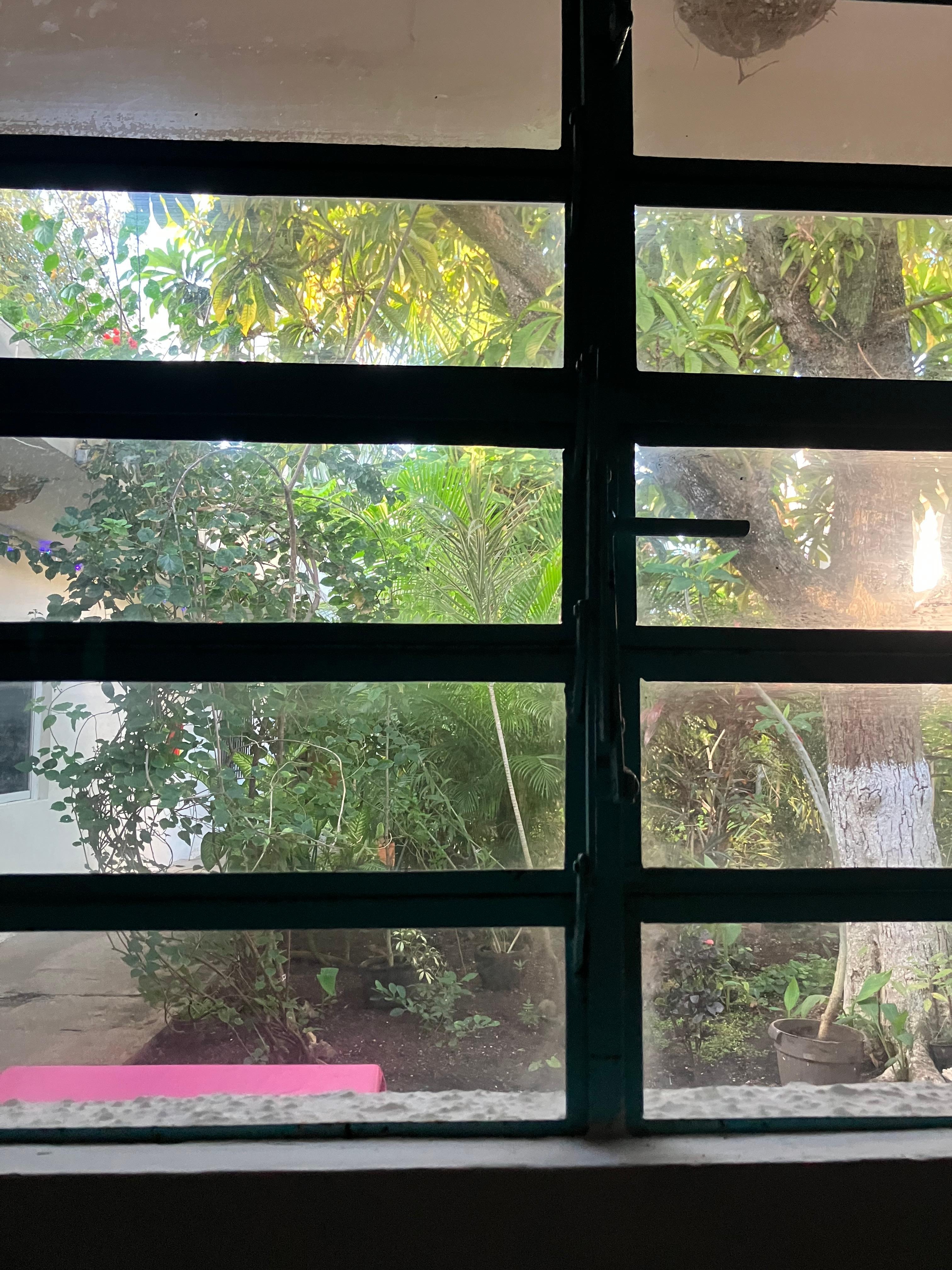 Vue sur le jardin intérieur 