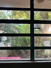 Vue sur le jardin intérieur