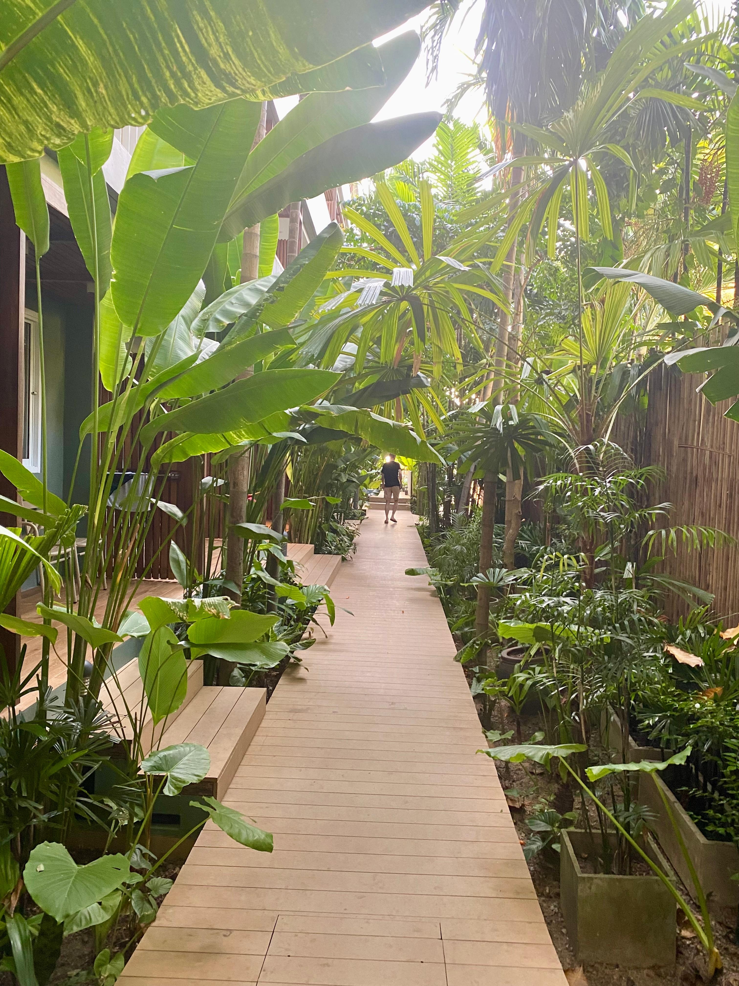 The walkway to the pool and breakfast