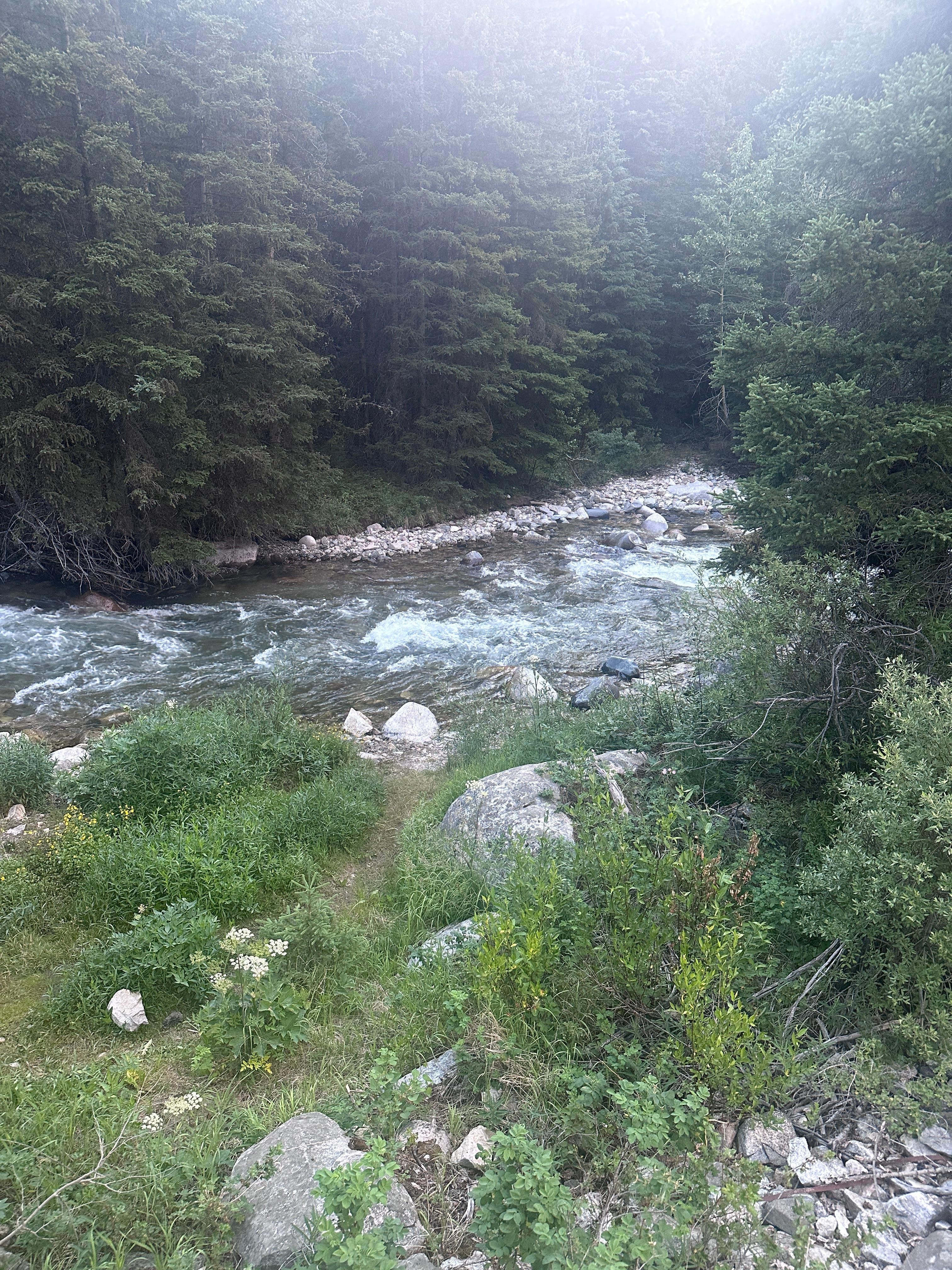 Soda Butte Creek. 
