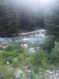 Soda Butte Creek.