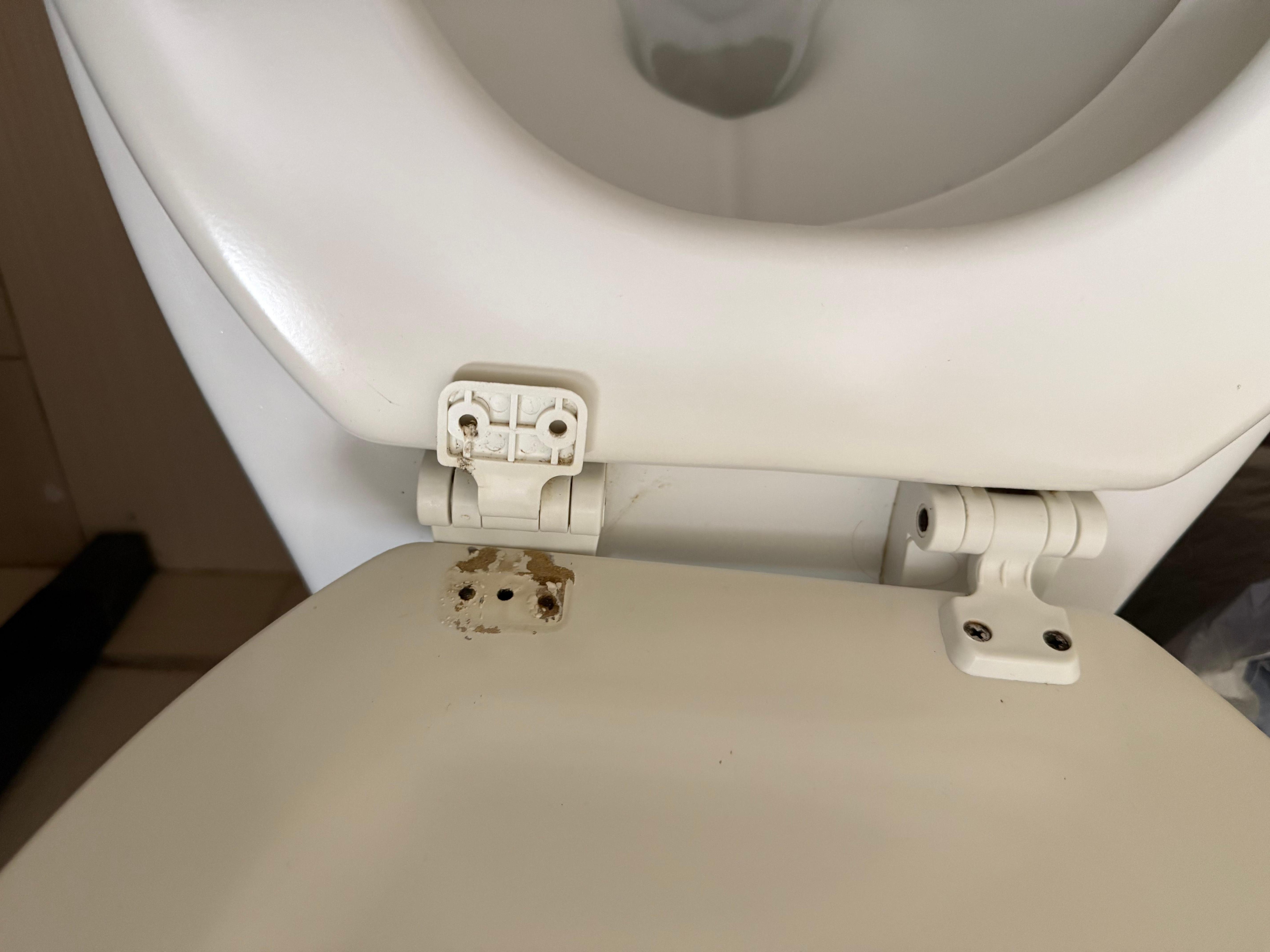 Terrible toilet seat