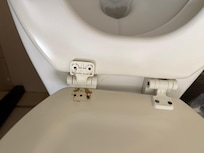 Terrible toilet seat