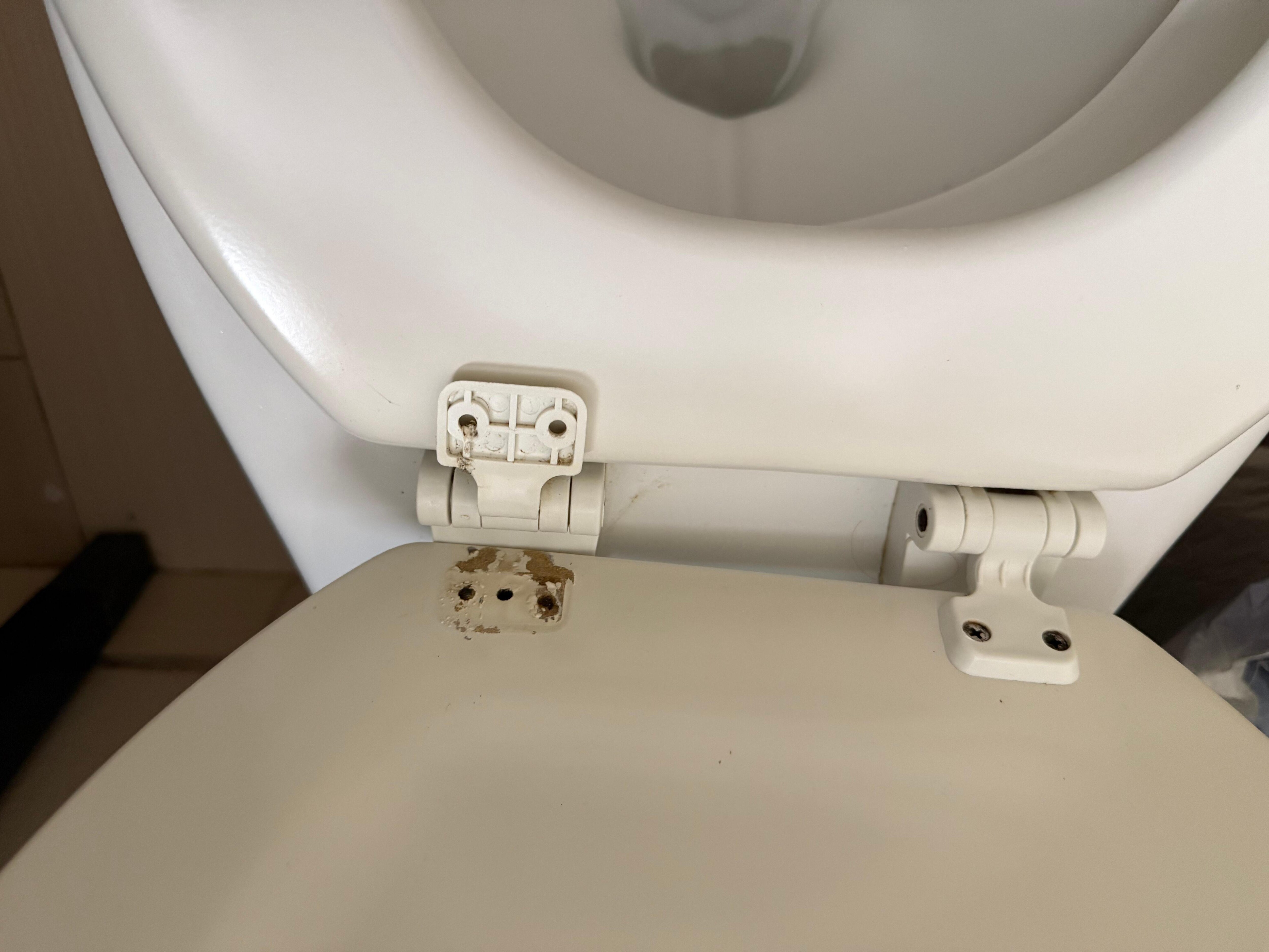 Terrible toilet seat 
