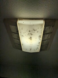 Bathroom light