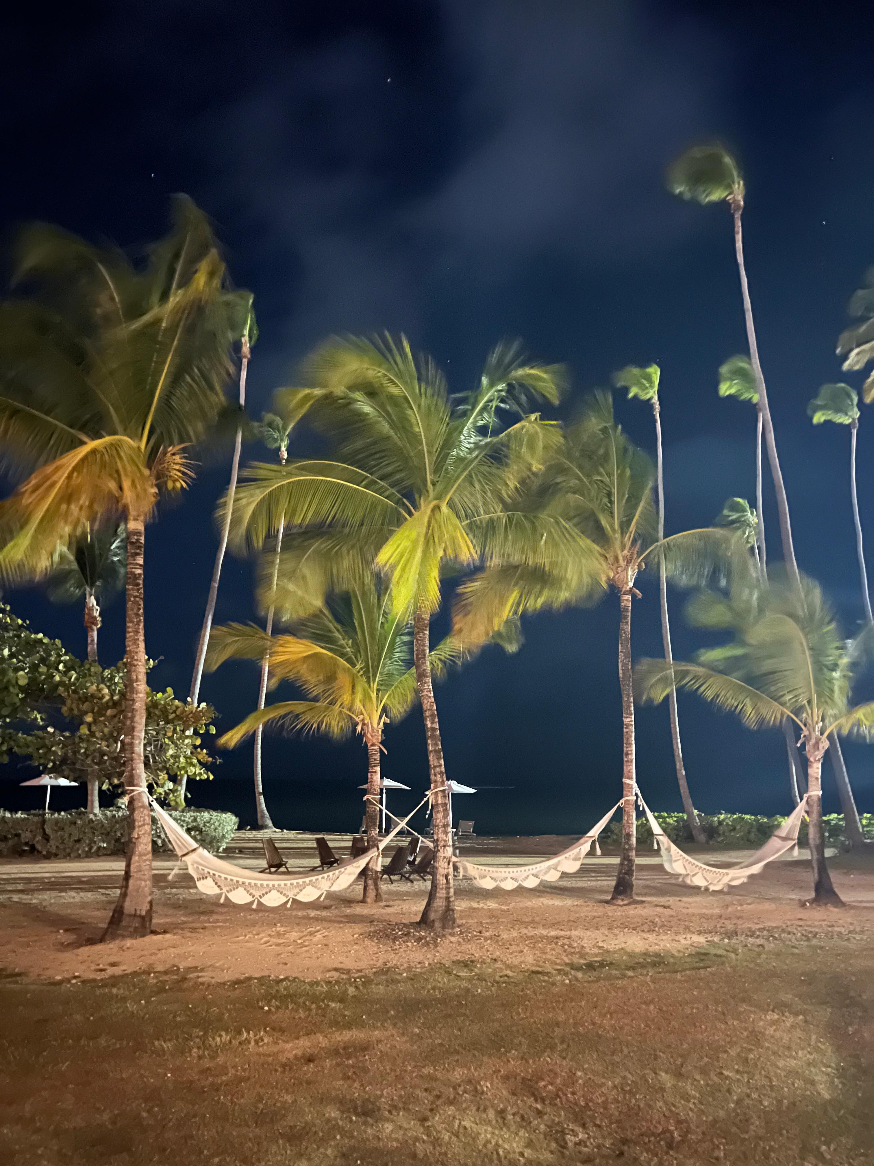 Peaceful hammocks we laid out on at night to star gaze. Even with the bright work lights from setting up the corporate event it was lovely. 