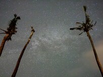 All the stars!