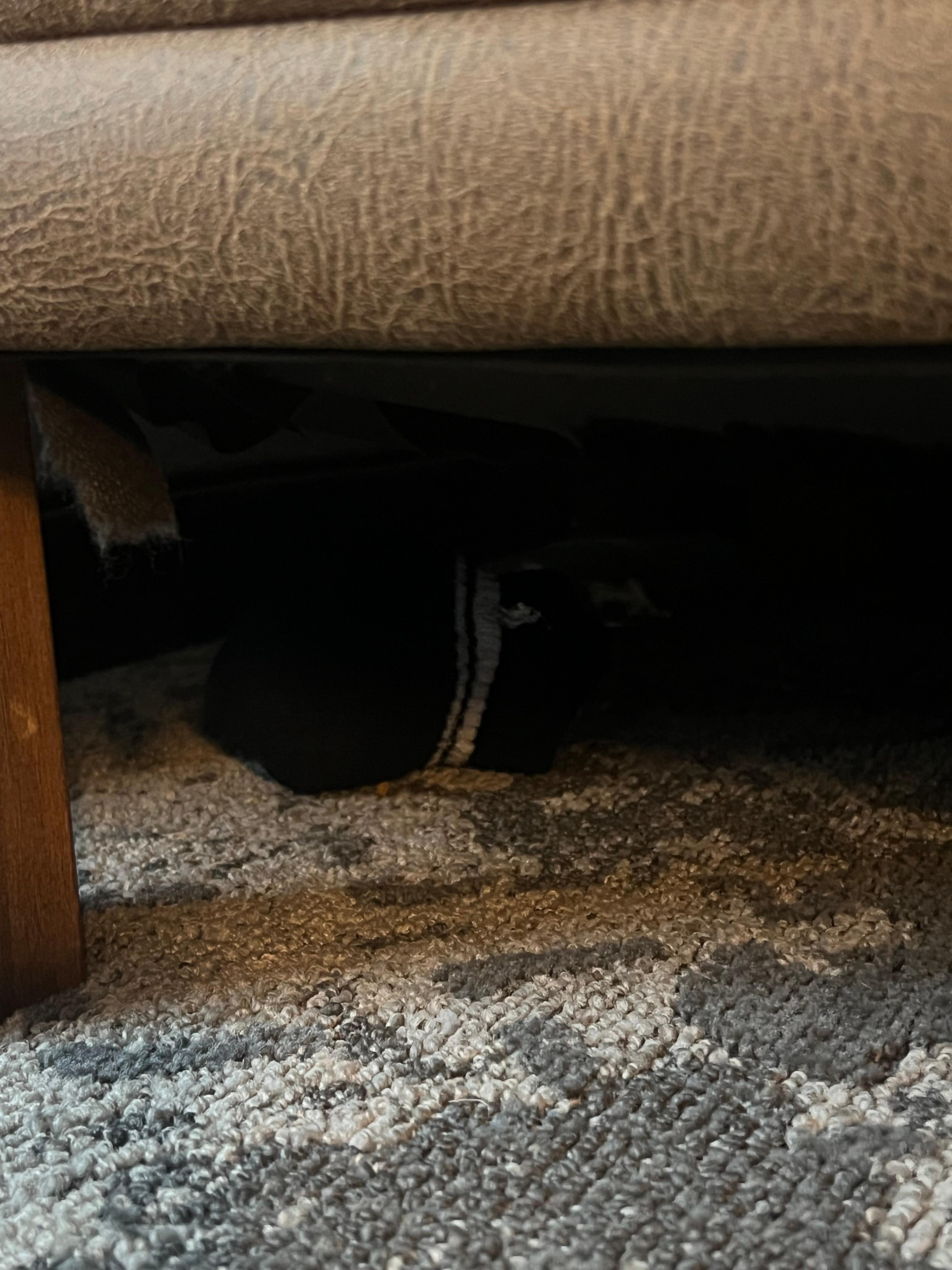 Pair of socks from previous room occupant.